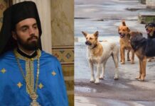 Αρχιμανδρίτης Χριστόδουλος: «Με τον πενιχρό μισθό μου αναλαμβάνω τα αδέσποτα, με τροφές, εμβόλια και στέγη»