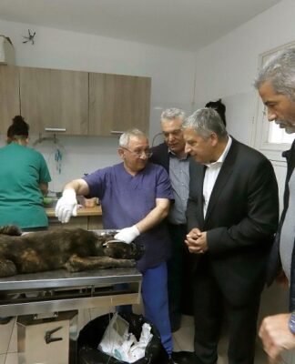 Η Περιφέρεια Αττικής δίπλα στην περίθαλψη των αδέσποτων ζώων