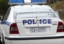 Φρίκη: Σκότωσαν σκύλο καρφώνοντας βέλος δίπλα στην καρδιά σκύλου – Ανθρωποκυνηγητό για τον δράστη
