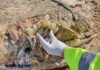 ΑΠΙΣΤΕΥΤΟ: Εντοπίστηκε μυστηριώδες θαλάσσιο θηρίο τεσσάρων τόνων με μήκος επτά μέτρα
