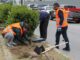 ΔΗΜΟΣ ΠΕΙΡΑΙΑ: Φυτεύτηκαν 300 φυτά στην νησίδα της λεωφόρου Θηβών! (ΦΩΤΟ)