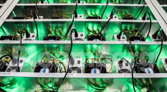 ΣΟΚ: O 33χρονος γκουρού των κρυπτονομισμάτων που «τρομάζει» μια ολόκληρη χώρα