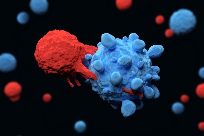 Ψηφιακή απεικόνιση δράσης κυτταρικής θεραπείας κατά του καρκίνου.
