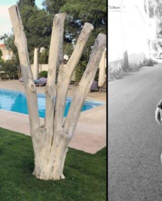 Τραγωδία: Ξεψύχησαν στα συντρίμμια ο Γιώργος και η Μαρία – Δύο νέοι έφυγαν νωρίς και άδικα