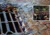 Σοκ στο ΑΠΘ: Νεαρή που συμμετείχε σε πάρτι έπεσε σε φρεάτιο και έμεινε λιπόθυμη για ώρα
