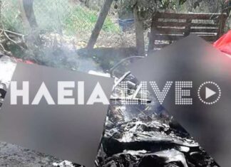 Συγκλονιστικό: Η εικόνα που βρέθηκε άθικτη στο καμένο αεροσκάφος στην Ηλεία! (βίντεο)
