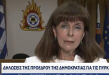 Σακελλαροπούλου: Διέκοψε τις διακοπές για να κάνει δήλωση για τις πυρκαγιές