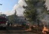 Οργανωμένο έγκλημα; Συνελήφθη 30χρονος για τη φωτιά στο Κρυονέρι – «Είμαστε πολλοί δεν θα γλιτώσετε»