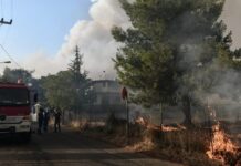 Οργανωμένο έγκλημα; Συνελήφθη 30χρονος για τη φωτιά στο Κρυονέρι – «Είμαστε πολλοί δεν θα γλιτώσετε»
