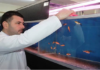 Τούρκος Καθηγητής πανεπιστημίου: «Τα ψάρια που ακούνε Κοράνι, μεγαλώνουν πιο γρήγορα»
