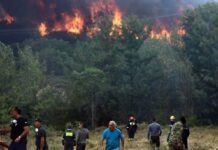 Δύο συλλήψεις για εμπρησμό στον Άγιο Στέφανο – Πιάστηκαν επ’ αυτοφώρο