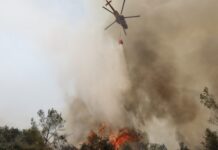 Αυτή είναι η νο1 χώρα στον κόσμο που έκανε το σβήσιμο πυρκαγιών επιστήμη