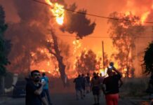 Οργανωμένο σχέδιο για να καεί η Ελλάδα – Σύλληψη Αφγανού για απόπειρα εμπρησμού στο Άλσος Φινοπούλου