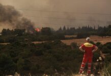 Εφιαλτική πρόγνωση Καλλιάνου: «Έρχονται 8 μποφόρ από αύριo»