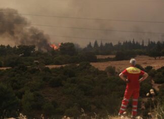 Εφιαλτική πρόγνωση Καλλιάνου: «Έρχονται 8 μποφόρ από αύριo»