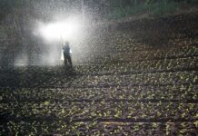 Κρήτη: «Αν δούμε έστω και έναν Πακιστανό στην περιοχή τις επόμενες δύο ώρες, θα σας σφάξουμε όλους»