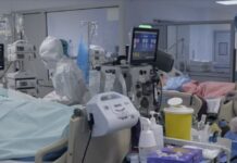 Κορωνοϊός: Εφιαλτικό σενάριο για 20.000 νεκρούς μέχρι την άνοιξη – «Το 1/3 των Ελλήνων έχει ήδη μολυνθεί» (βίντεο)
