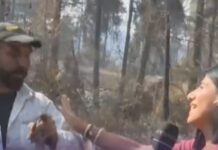 Πυρκαγιές: Ξέσπασμα πολίτη στον αέρα – Tα έχασε η δημοσιογράφος