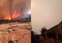 Τρομακτικό βίντεο από τα Βίλια: Στρόβιλος φωτιάς εκτόξευσε κορμό δέντρου προς τους πυροσβέστες