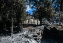 Aδιανόητο: To Tατόι πριν και μετά την πυρκαγιά – Αποκαλυπτικές φωτογραφίες