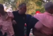 «Θα φας 200 μπουvιές»: Η viral σύλληψη 47χρονoυ Έλληνας για τον εμπρησμό της Πετρούπολης