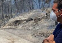 Επεισόδιο στην Εύβοια: Γυναίκα τα «έψαλε» άγρια στον Τσίπρα (βίντεο)