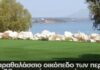 «Κτήμα Μαργαρίτα»: Το εξοχικό των Παπανδρέου πωλείται έναντι…