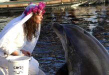 Γυναίκα παντρεύτηκε δελφίνι κι έμεινε χήρα σε μήνες: «Είμαι μονογαμική, δεν θα ξαναπαντρευτώ»