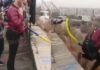 Τραγωδία: Έσπασε το σχοινί την ώρα που έκανε bungee jumping! (βίντεο)