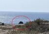 Σοκάρουν οι διάλογοι του συζυγοκτόνου με τους αστυνομικούς και το γιο του όταν απειλούσε να πέσει από τα βράχια!