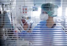 Στην Εντατική ο 6χρονος που δέχθηκε επίθεση από ροτβάιλερ