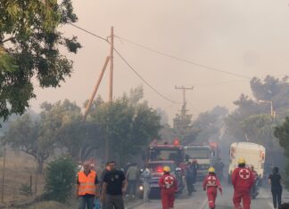 Οι εθελοντές Σαμαρείτες-Διασώστες του Ελληνικού Ερυθρού Σταυρού στην πρώτη γραμμή της μάχης με τις φλόγες στην Πεντελή