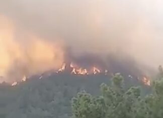 Σουφλί Έβρου: Καίγεται το Εθνικό Πάρκο (βίντεο)