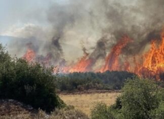 Φωτιά στη Σαλαμίνα: Μήνυμα από το 112 για την απομάκρυνση των κατοίκων