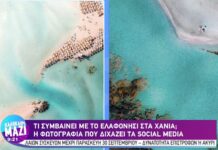 Ελαφονήσι: Οργή στα social media για τις ξαπλώστρες – Η απάντηση του δημάρχου Κισάμου