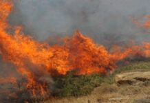 Πολιτική Προστασία: Πολύ υψηλός κίνδυνος πυρκαγιάς για δυο περιφέρειες – Συστάσεις προς τους πολίτες