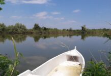 Πηνειός: Φώναζε «αφήστε με να κολυμπήσω» η 48χρονη πριν προσπαθήσει να πνιγεί