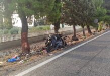 Τραγωδία στη Φωκίδα: Συγκλονιστική αποκάλυψη – Οι δύο νέοι σκοτώθηκαν για ένα νεκρό σκυλί