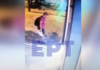 Αδιανόητο περιστατικό κακοποίησης ζώου: Ποδοπάτησε και σκότωσε νεογέννητο γατάκι!