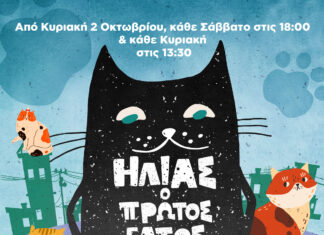 Παιδι: Ο Ηλίας, ο πρώτος γάτος χορευτής στο Θέατρο Άβατον