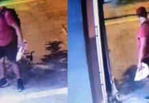 Θεσσαλονίκη: Μέχρι και 10 χρόνια φυλακή στον διδάκτορα ΑΠΘ που σκότωσε γατάκι