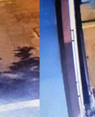 Θεσσαλονίκη: Μέχρι και 10 χρόνια φυλακή στον διδάκτορα ΑΠΘ που σκότωσε γατάκι