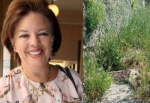 Μάρα Μεϊμαρίδη: «Είχα ξαναγεννηθεί ως χόρτο σε άλλη ζωή. Είναι σπάνιο να ξαναγίνεις άνθρωπος»