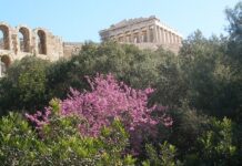 Ανατροπή με την «τουρίστρια» που σκοτώθηκε στην Ακρόπολη