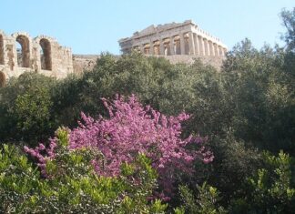 Ανατροπή με την «τουρίστρια» που σκοτώθηκε στην Ακρόπολη
