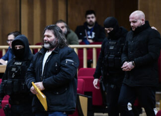 Δεν εντοπίστηκε η σύντροφος του Φύσσα, ενημέρωσε το δικαστήριο η Aστυνομία