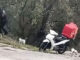Διανομέας κάθε πρωί και βράδυ περνάει από το σημείο και ταΐζει αδέσποτα γατάκια