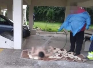 Εικόνες ντροπής στον Ωρωπό: Πλήρωμα ασθενοφόρου καταβρέχει με λάστιχο ηλικιωμένη
