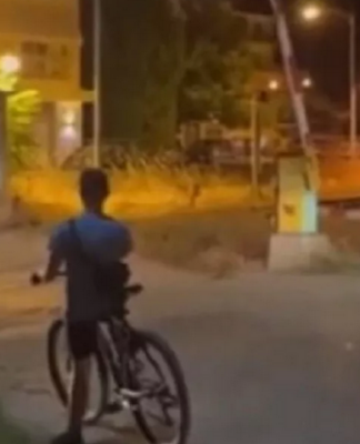 Σοκ! Ανοίγουν οι μπάρες την ώρα που περνά το τρένο (+vid)