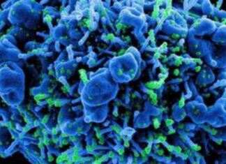 Ανησυχία για τον επικίνδυνο μύκητα Candida auris: Τα συμπτώματα και ποιους απειλεί – Καμπανάκι από CDC